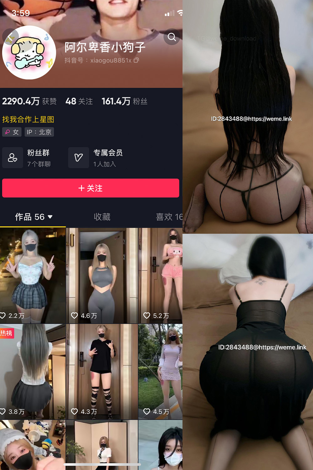 抖音 阿尔卑香小狗子 微密圈 NO.057期 【36P1V】最新至:2024.9.3