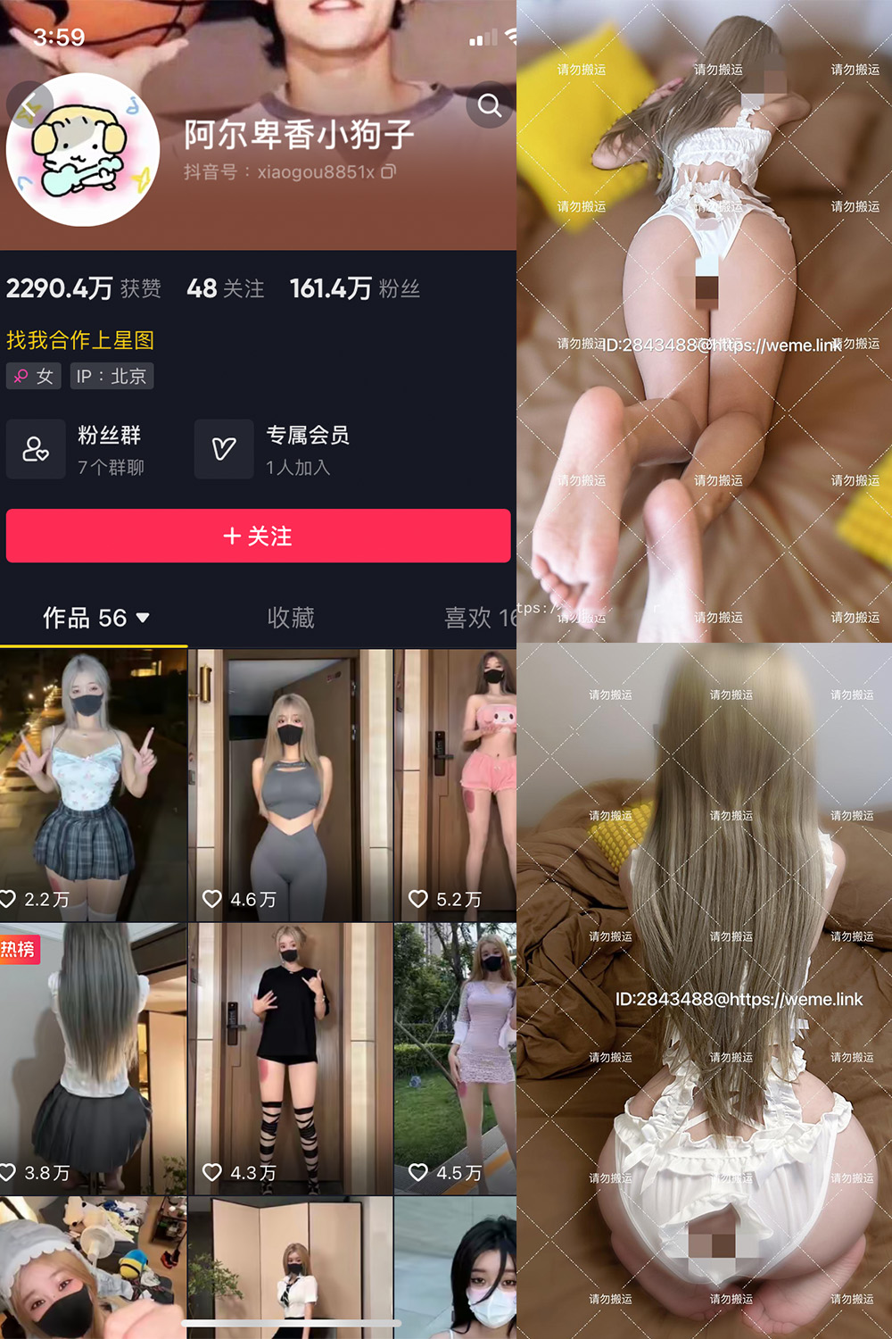 抖音 阿尔卑香小狗子 微密圈 NO.018期 【16P1V】最新至:2023.8.14
